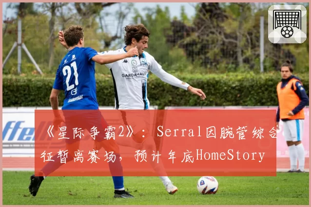 《星际争霸2》:Serral因腕管综合征暂离赛场,预计年底HomeStory Cup回归