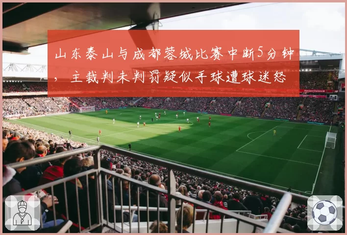 山东泰山与成都蓉城比赛中断5分钟，主裁判未判罚疑似手球遭球迷怒斥