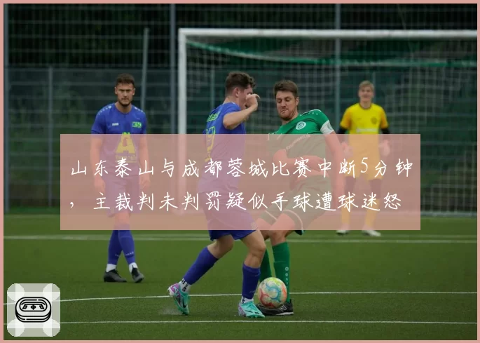 山东泰山与成都蓉城比赛中断5分钟，主裁判未判罚疑似手球遭球迷怒斥