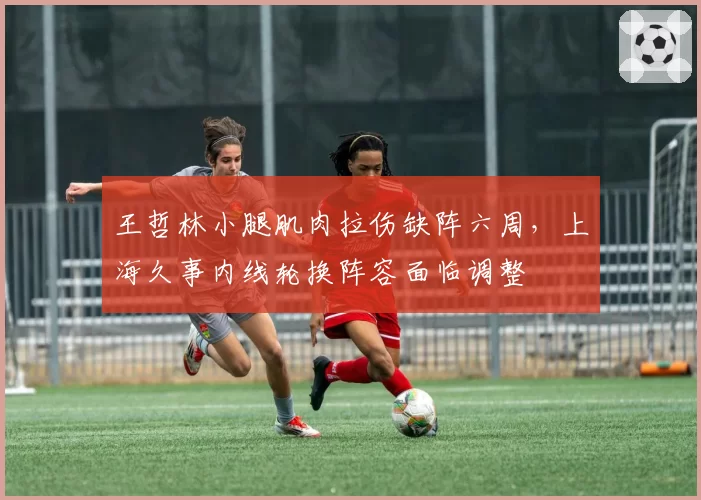 王哲林小腿肌肉拉伤缺阵六周，上海久事内线轮换阵容面临调整