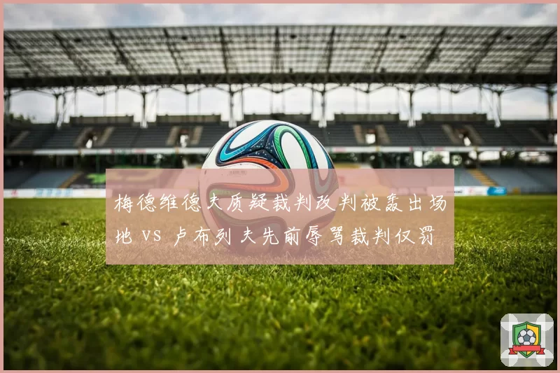 梅德维德夫质疑裁判改判被轰出场地 vs 卢布列夫先前辱骂裁判仅罚款，ATP纪律处罚尺度对比